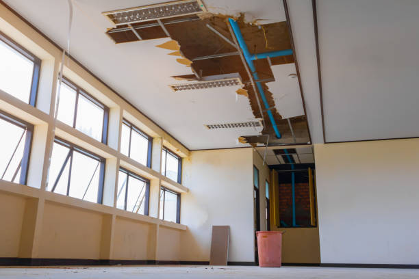 Best Water damage restoration cost  in Greenport West, NY