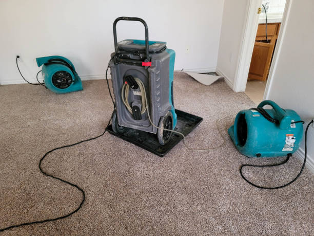 Water damage restoration experts in Greenport West, NY