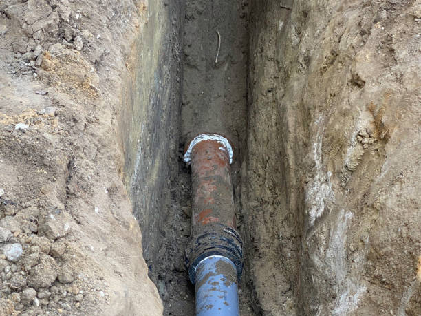 Best Professional water damage repair  in Greenport West, NY
