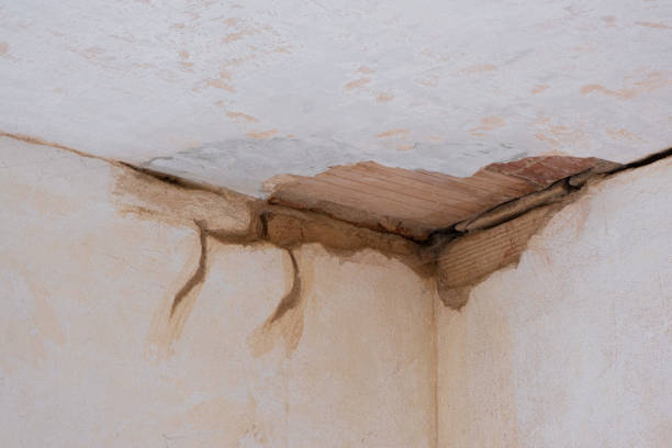 Best Water damage restoration near me  in Greenport West, NY
