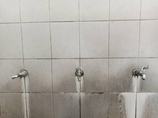 Trusted Greenport West, NY Water damage restoration Experts