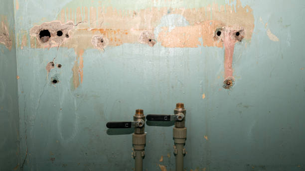 Best Ceiling water damage repair  in Greenport West, NY