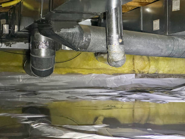 Best Water damage restoration company  in Greenport West, NY