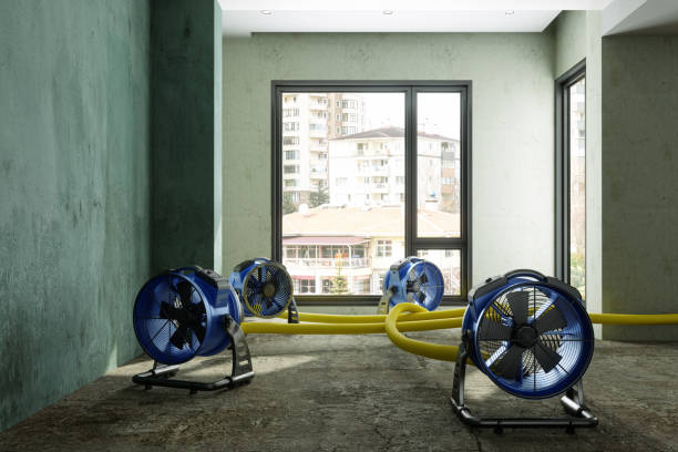 Best Water damage restoration specialists  in Greenport West, NY